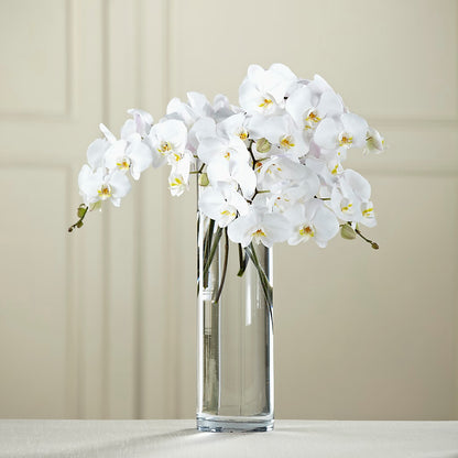White Phalaenopsis Bouquet – EUTAW ACCENT FLOWERS & GIFTS, Eutaw AL