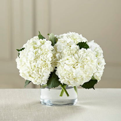 White Hydrangea Bouquet – EUTAW ACCENT FLOWERS & GIFTS, Eutaw AL