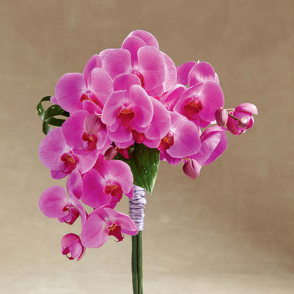 Glorious Bouquet – EUTAW ACCENT FLOWERS & GIFTS, Eutaw AL